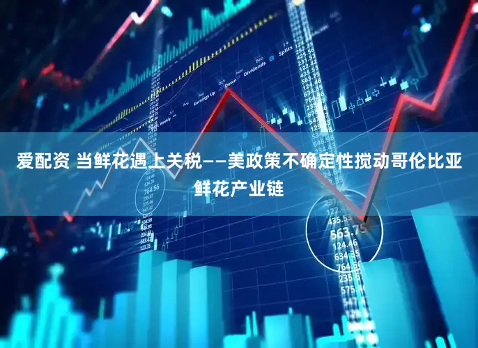 爱配资 当鲜花遇上关税——美政策不确定性搅动哥伦比亚鲜花产业链