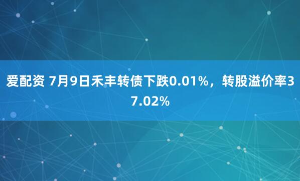爱配资 7月9日禾丰转债下跌0.01%，转股溢价率37.02%