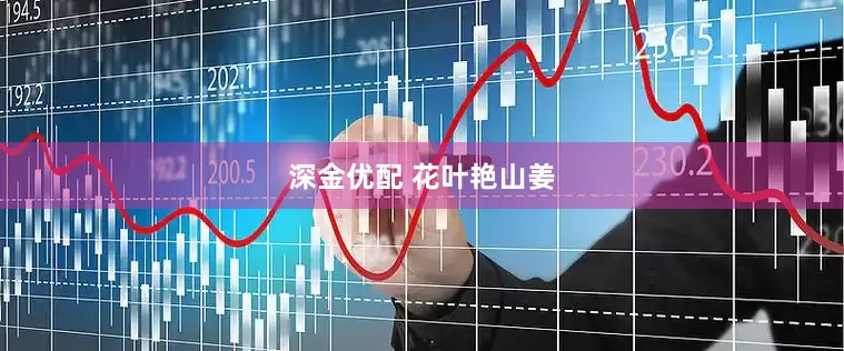 深金优配 花叶艳山姜