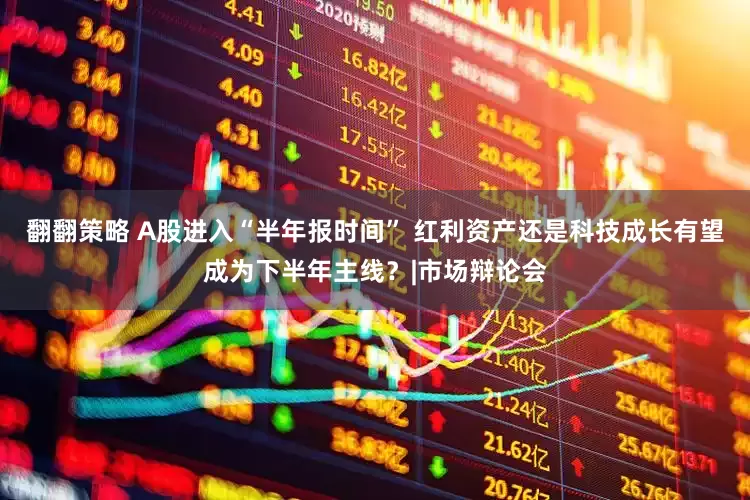 翻翻策略 A股进入“半年报时间” 红利资产还是科技成长有望成为下半年主线？|市场辩论会