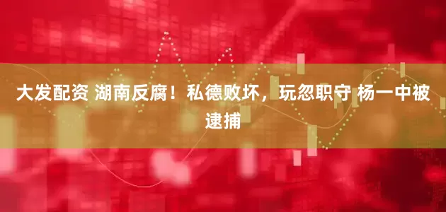 大发配资 湖南反腐！私德败坏，玩忽职守 杨一中被逮捕