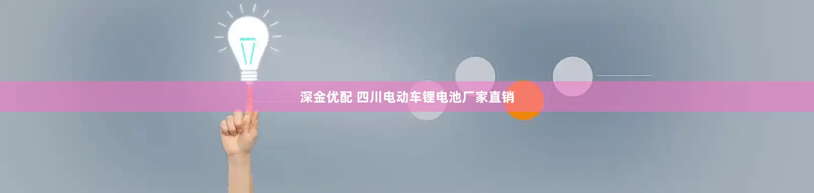 深金优配 四川电动车锂电池厂家直销