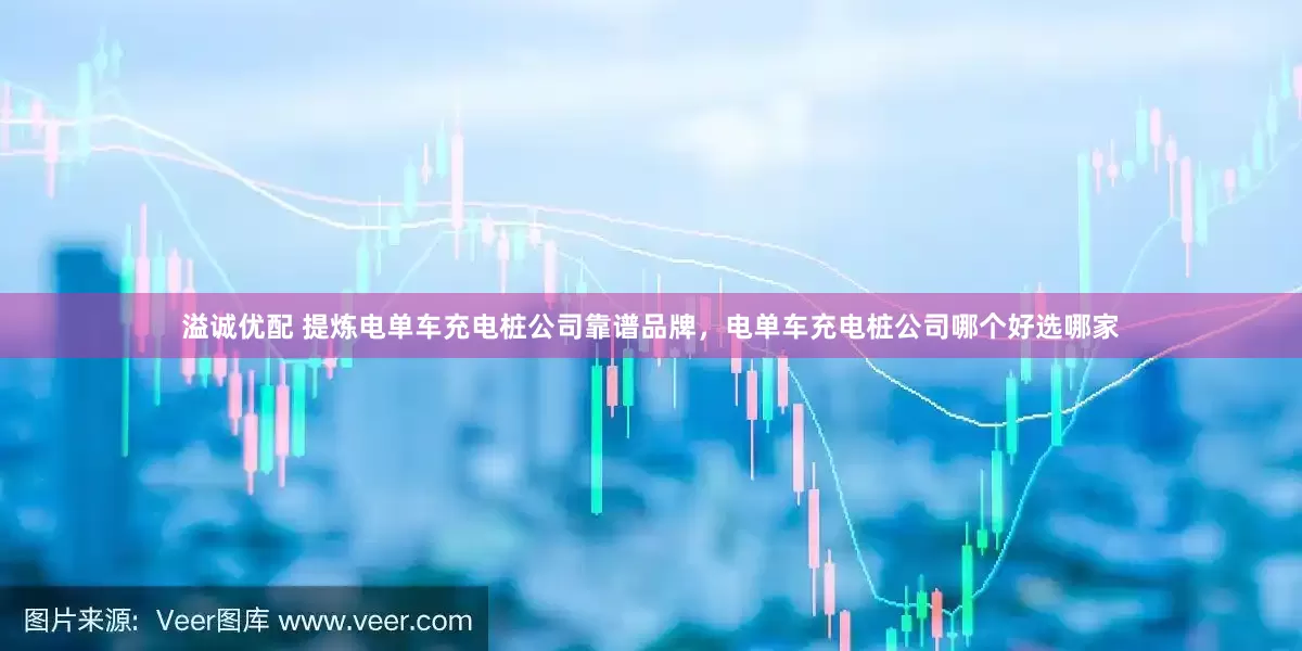 溢诚优配 提炼电单车充电桩公司靠谱品牌，电单车充电桩公司哪个好选哪家